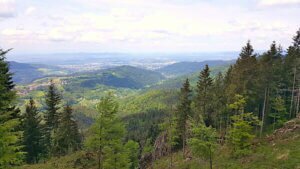 Read more about the article Städtetrip Freiburg: Sehenswürdigkeiten, Wandern im Schwarzwald & vegan Essen