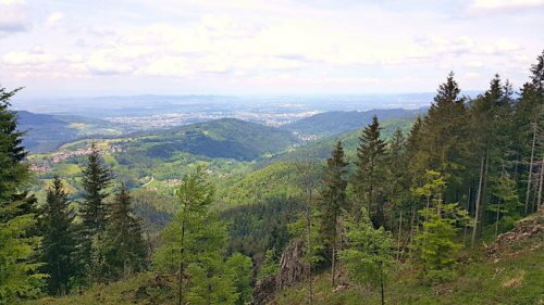 Städtetrip Freiburg: Sehenswürdigkeiten, Wandern im Schwarzwald & vegan Essen